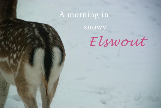 snowy morning in Elswout By LosAngelas