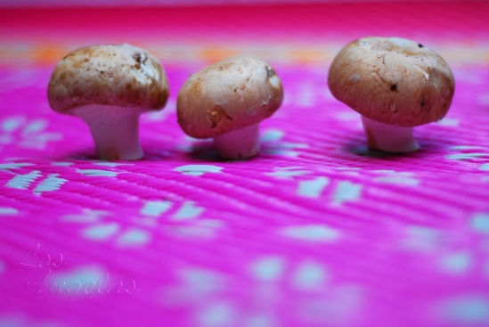 Mushrooms and garlic 3
