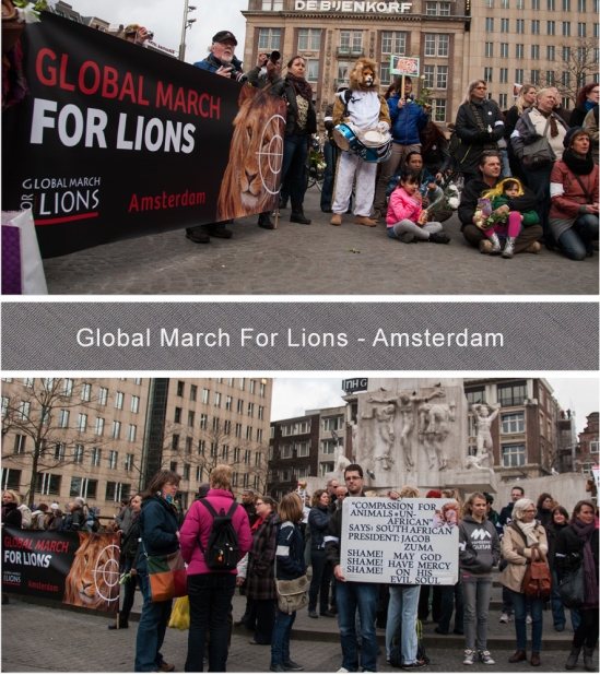 Global March For Lions - Blog 2