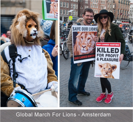 Global March For Lions - Blog 3