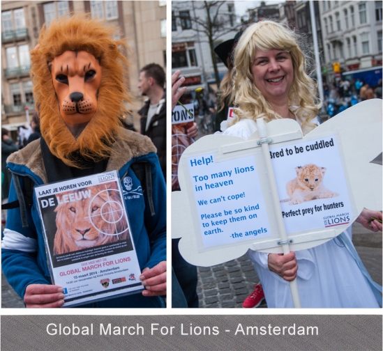 Global March For Lions - Blog 5